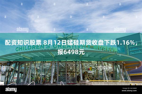 配资知识股票 8月12日锰硅期货收盘下跌1.16%，报6498元