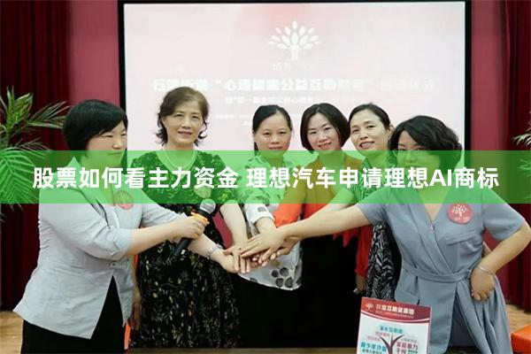 股票如何看主力资金 理想汽车申请理想AI商标