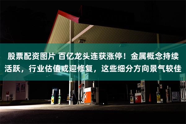 股票配资图片 百亿龙头连获涨停！金属概念持续活跃，行业估值或迎修复，这些细分方向景气较佳