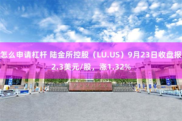 怎么申请杠杆 陆金所控股（LU.US）9月23日收盘报2.3美元/股，涨1.32%