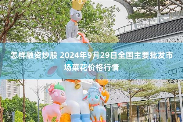 怎样融资炒股 2024年9月29日全国主要批发市场菜花价格行情