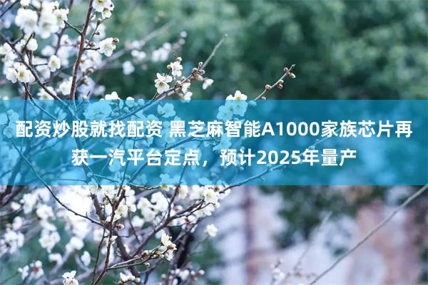 配资炒股就找配资 黑芝麻智能A1000家族芯片再获一汽平台定点，预计2025年量产